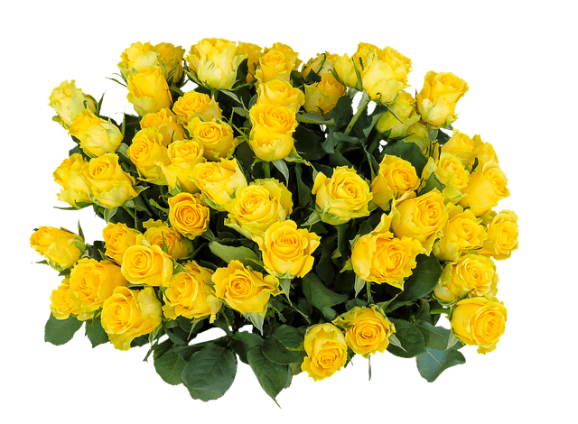 comprar flores en Florerías en Xalapa Veracruz