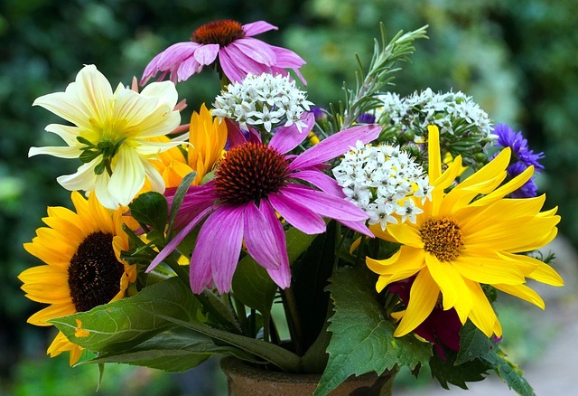 comprar flores Florerías en Buenos Aires