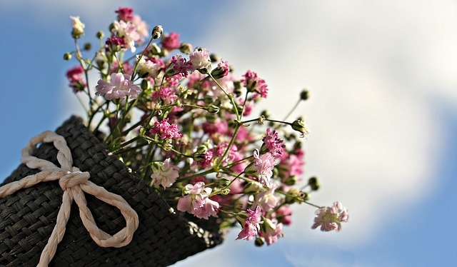 comprar flores en Florerías en León Guanajuato