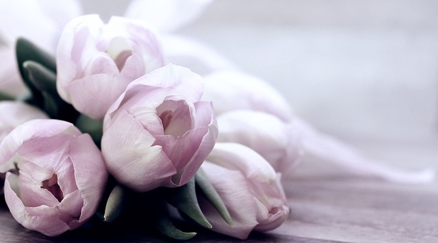 mejores flores de las comprar flores en Florerías en Los Mochis Sinaloa