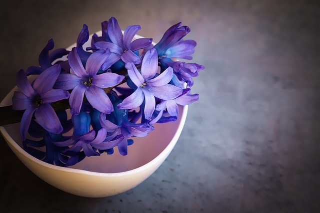 comprar flores en Florerías en Los Mochis Sinaloa