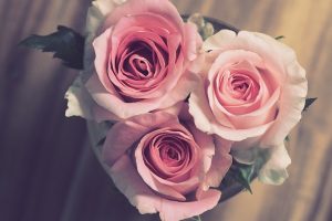 Dónde comprar flores baratas en CDMX