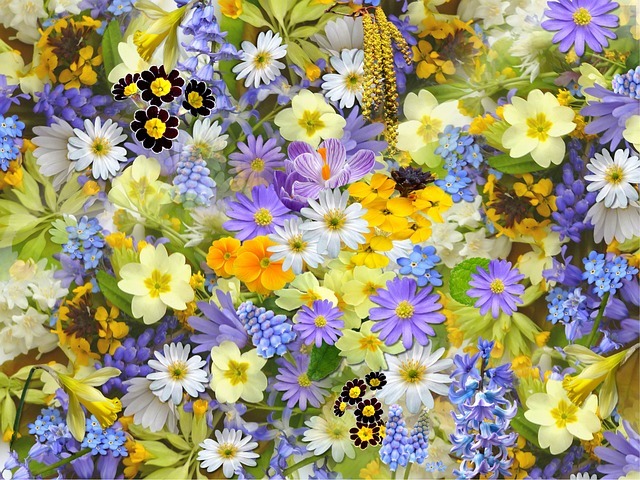 mejores flores en Tepic Nayarit