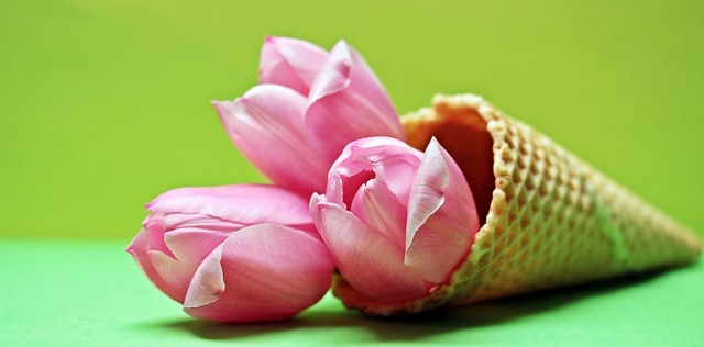 lolaflora irapuato