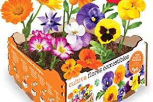 ¿Dónde comprar flores comestibles?