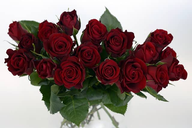 ramos de rosas rojas